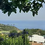 Persico