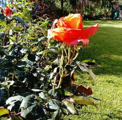 Persico Massa Lubrense